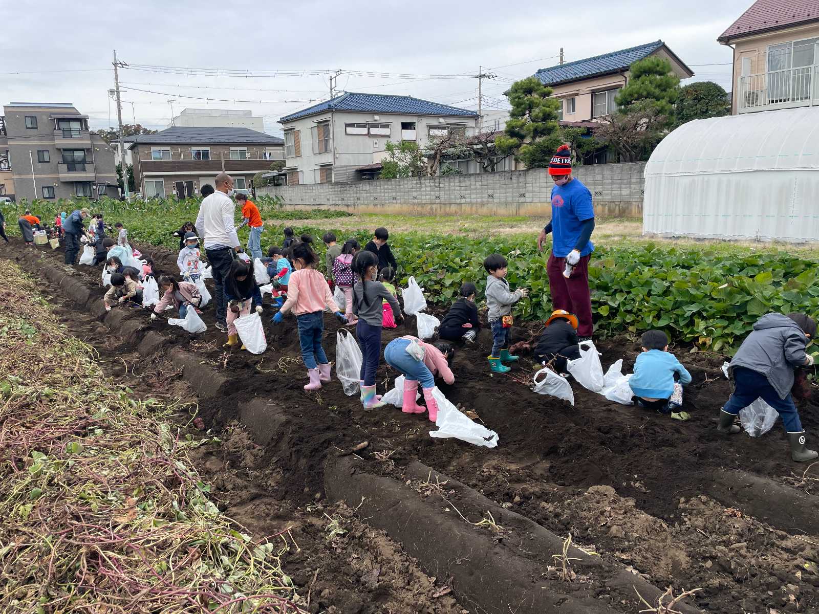 Stars&Stripes International 立川校の画像