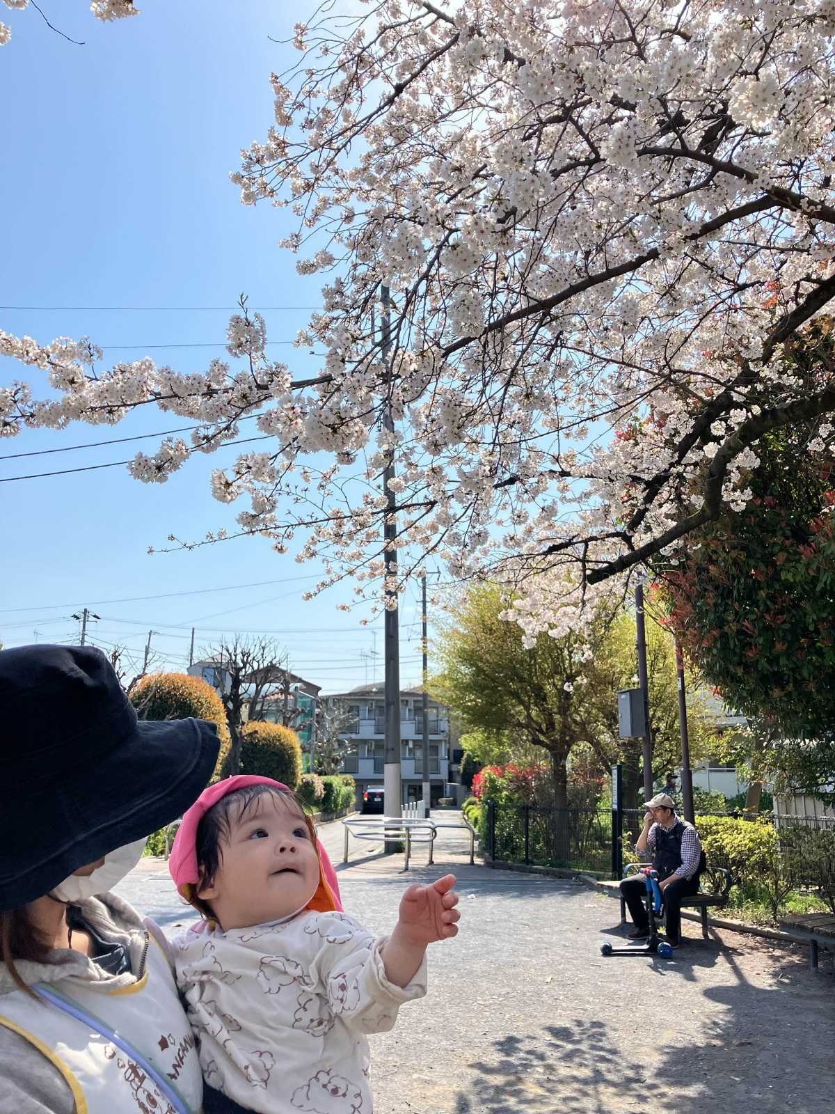 あーす保育園鷺ノ宮