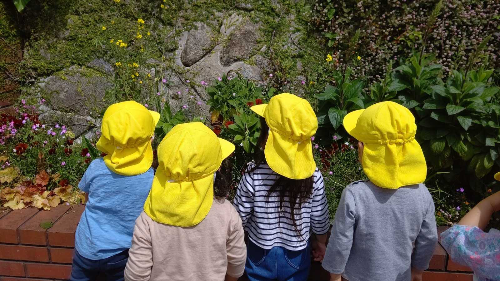 神戸オリーブ保育園