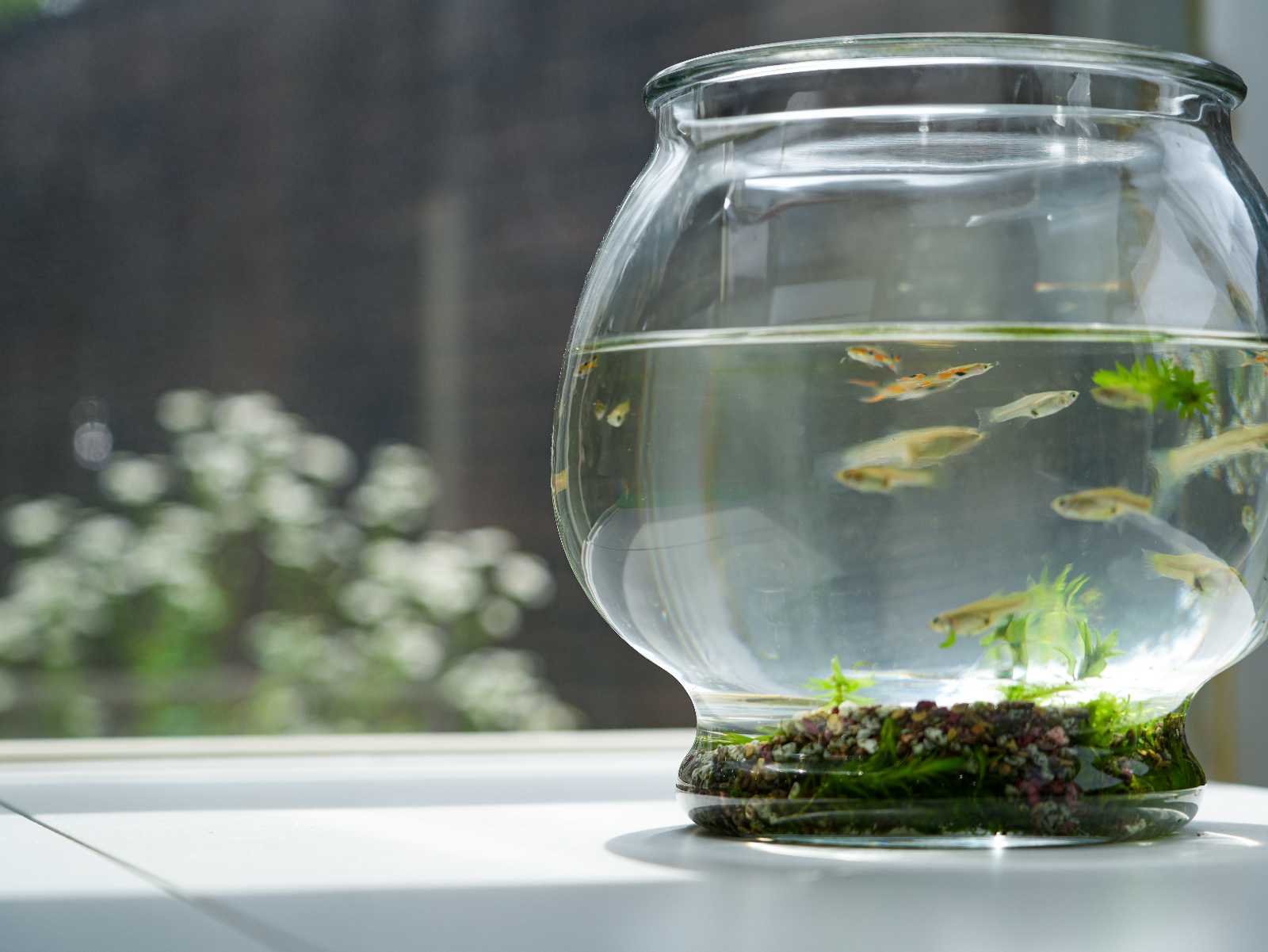 ポピンズナーサリースクール東品川の画像