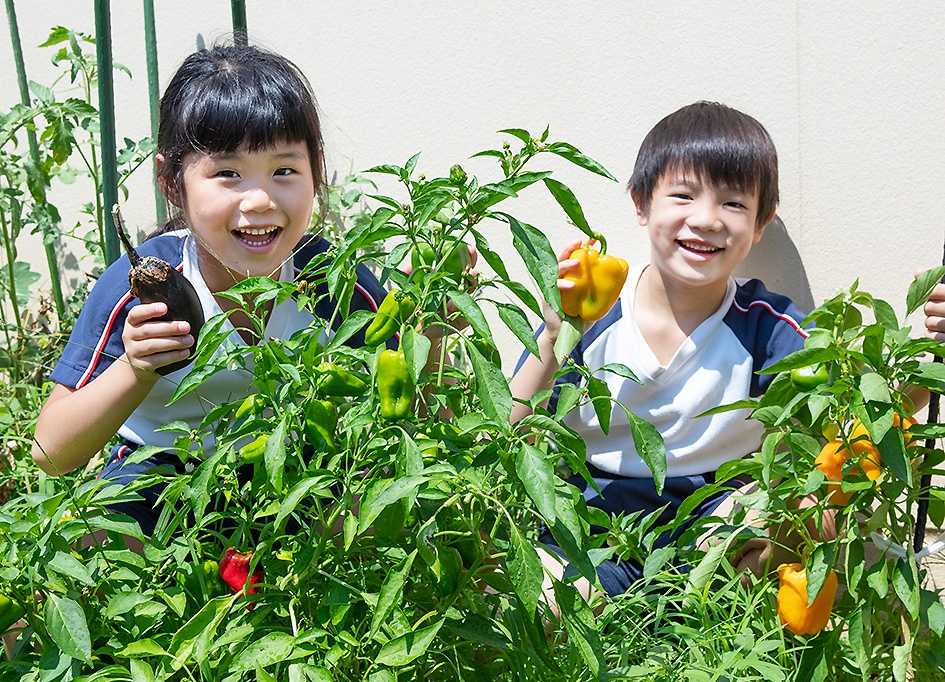 幼保連携型認定こども園 のぞみ夢の画像