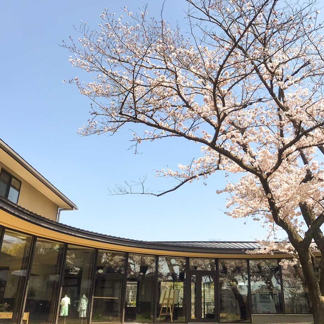 幼保連携型認定こども園紅葉夢の画像