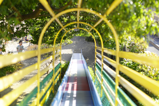 ひなぎく幼稚園の画像