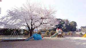 河合幼稚園の画像