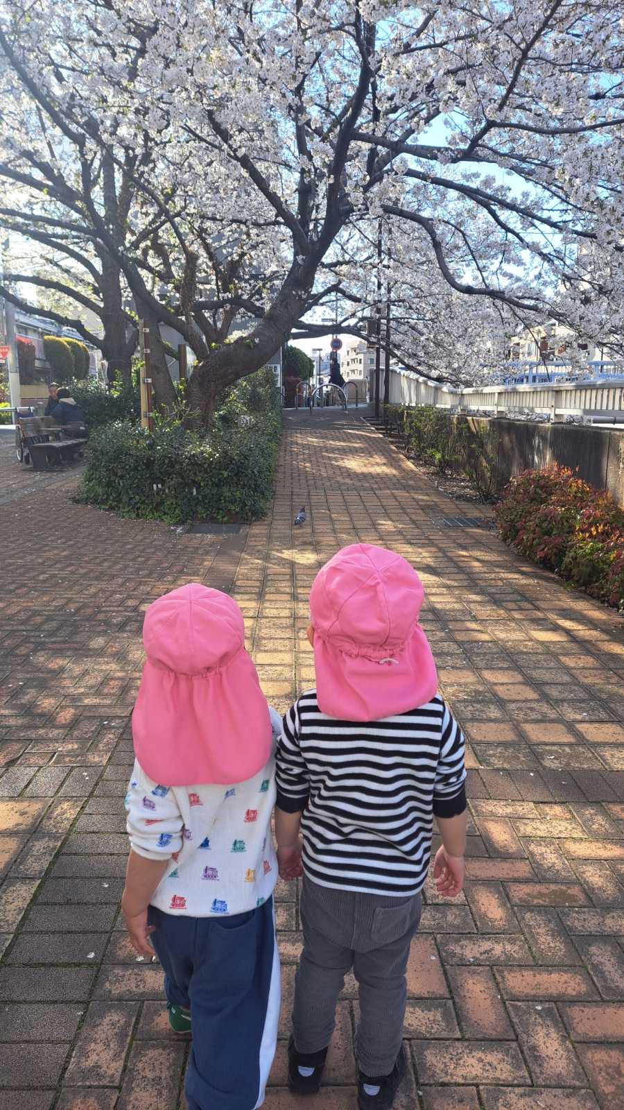 あーす保育園中野新橋