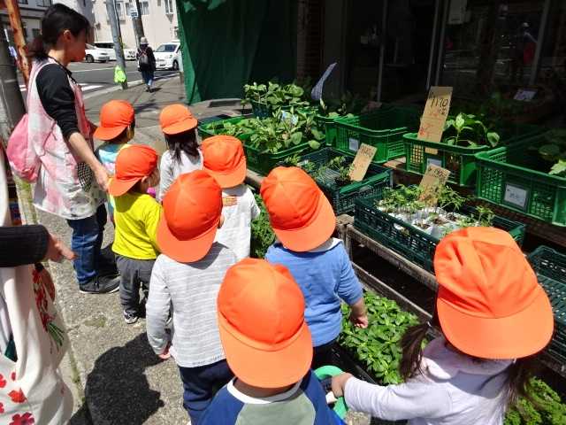 ココカラ荒巻の画像