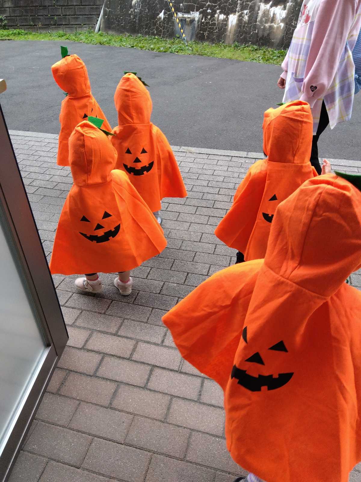 ココカラ荒巻の画像