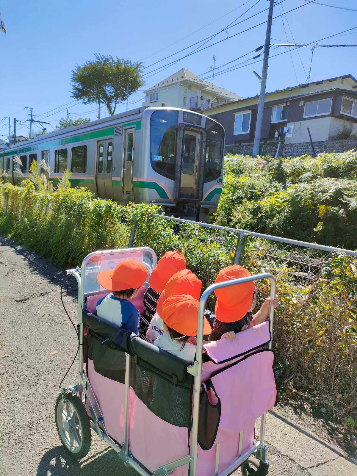 ココカラ荒巻の画像