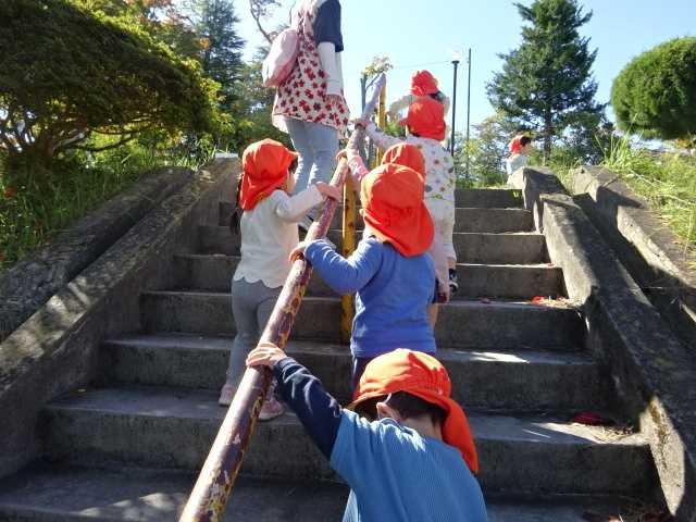 ココカラ荒巻の画像