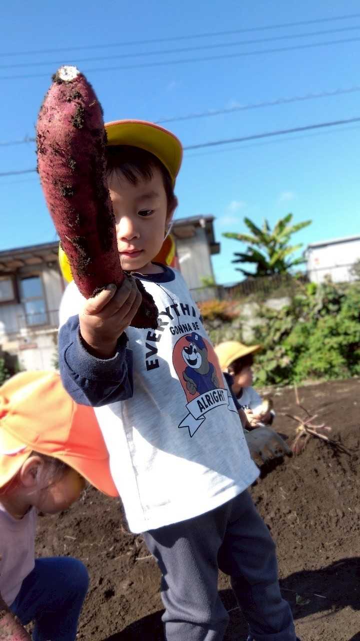 ココカラ雀宮保育園の画像