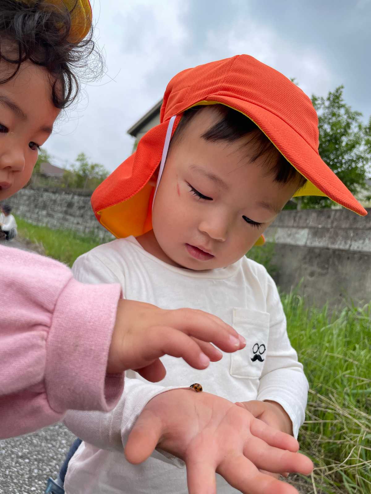 ココカラ雀宮保育園の画像