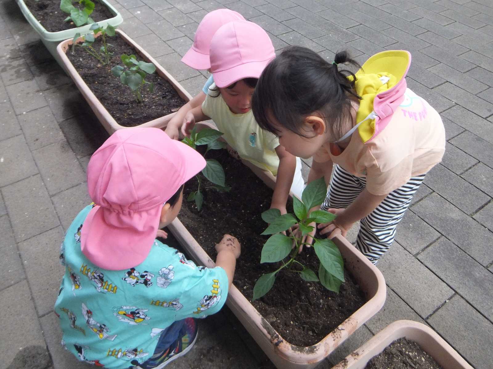 コンビプラザ南千住保育園の画像