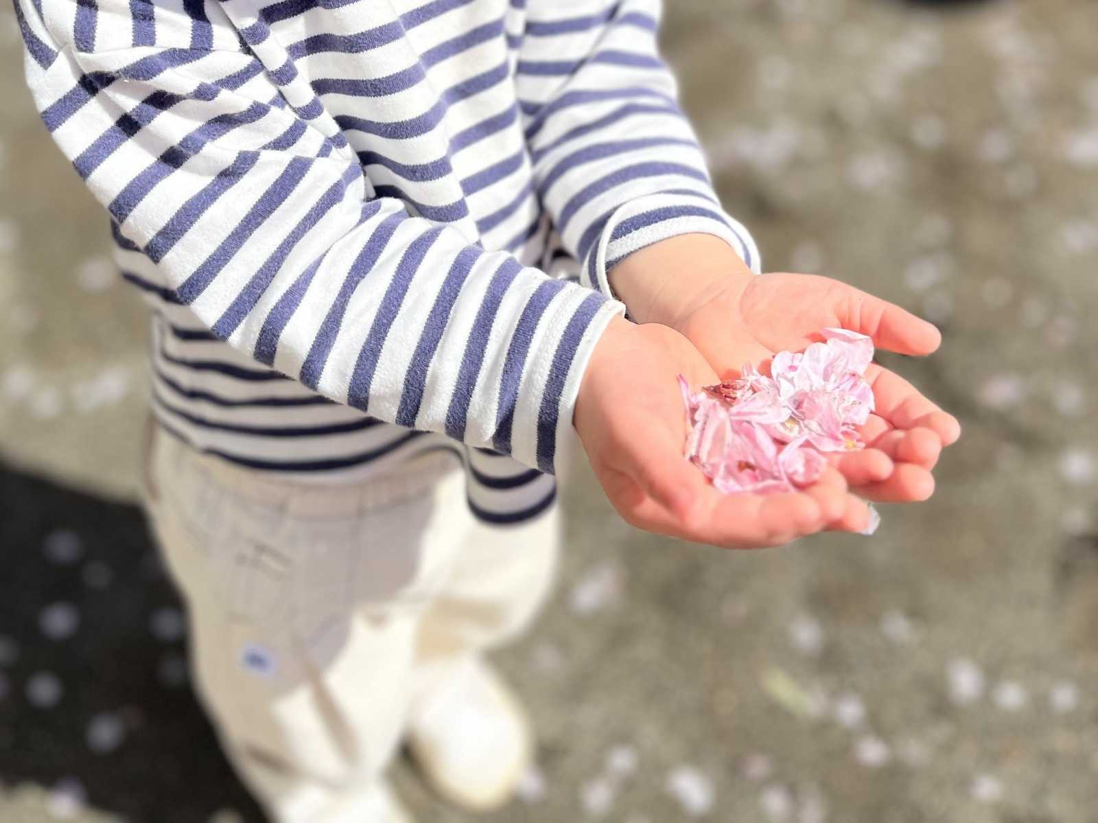 中央八丁目保育園の画像