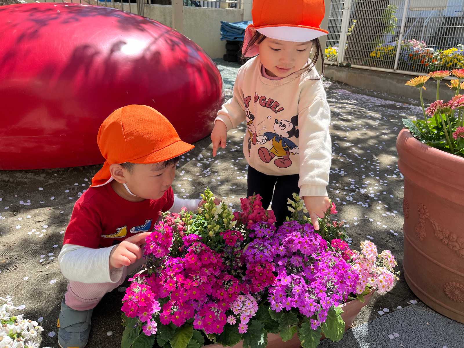 中央八丁目保育園の画像