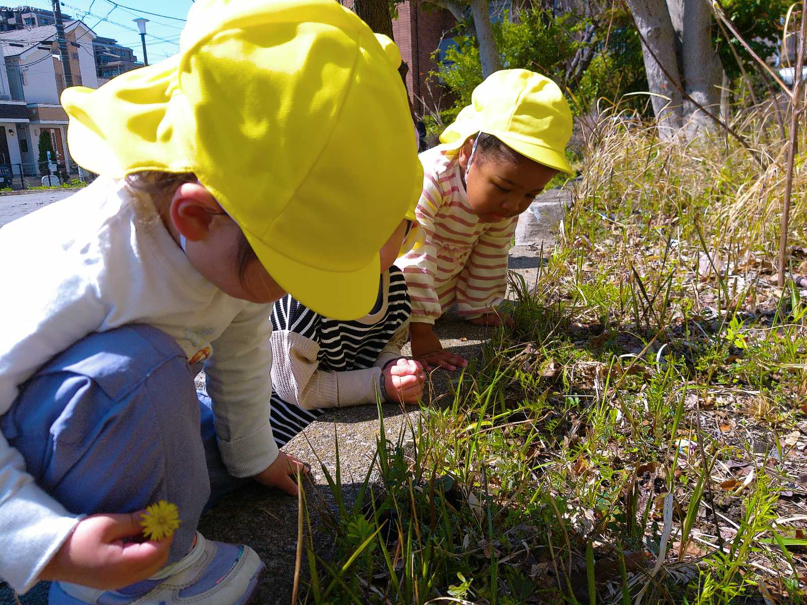コンビプラザ東和三丁目保育園の画像