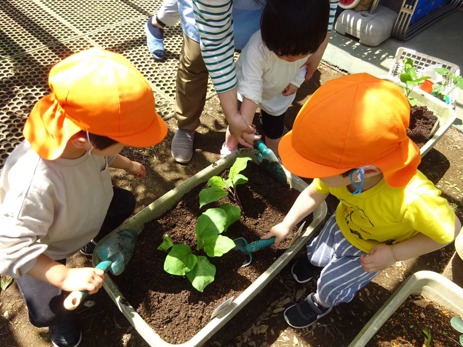 コンビプラザ東和三丁目保育園の画像
