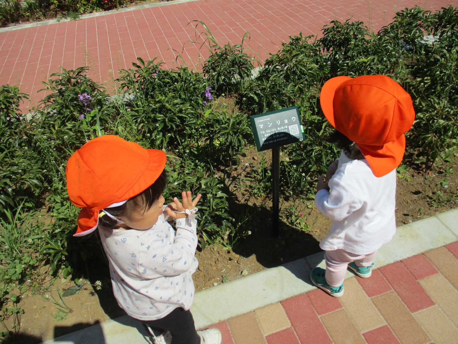 コンビプラザ弥生町保育園の画像