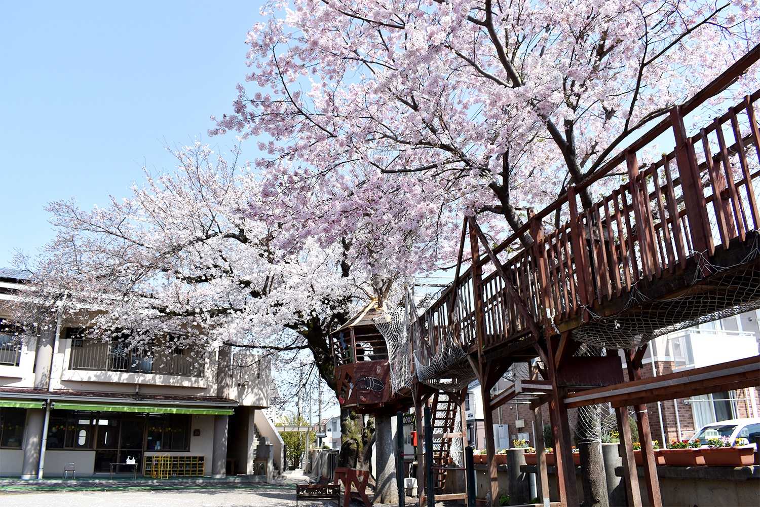 認定こども園うのもり幼稚園