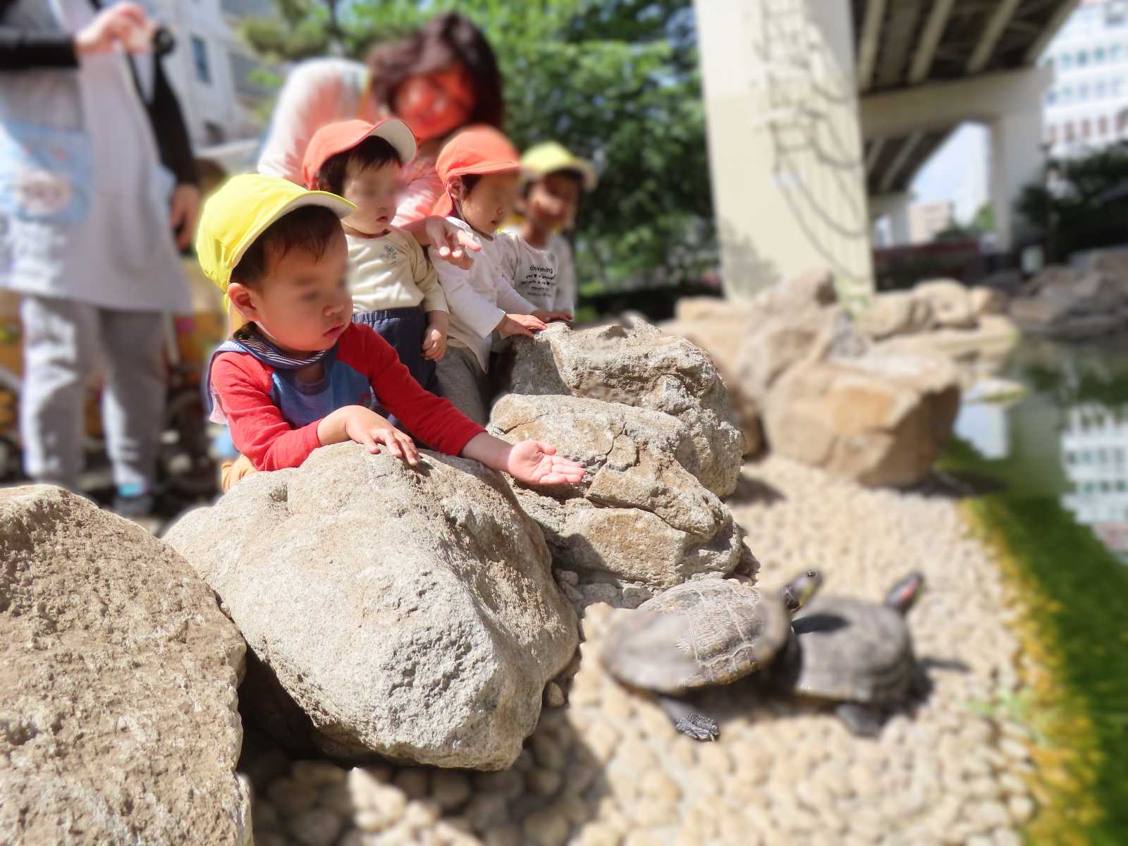 ひよっこ保育室の画像