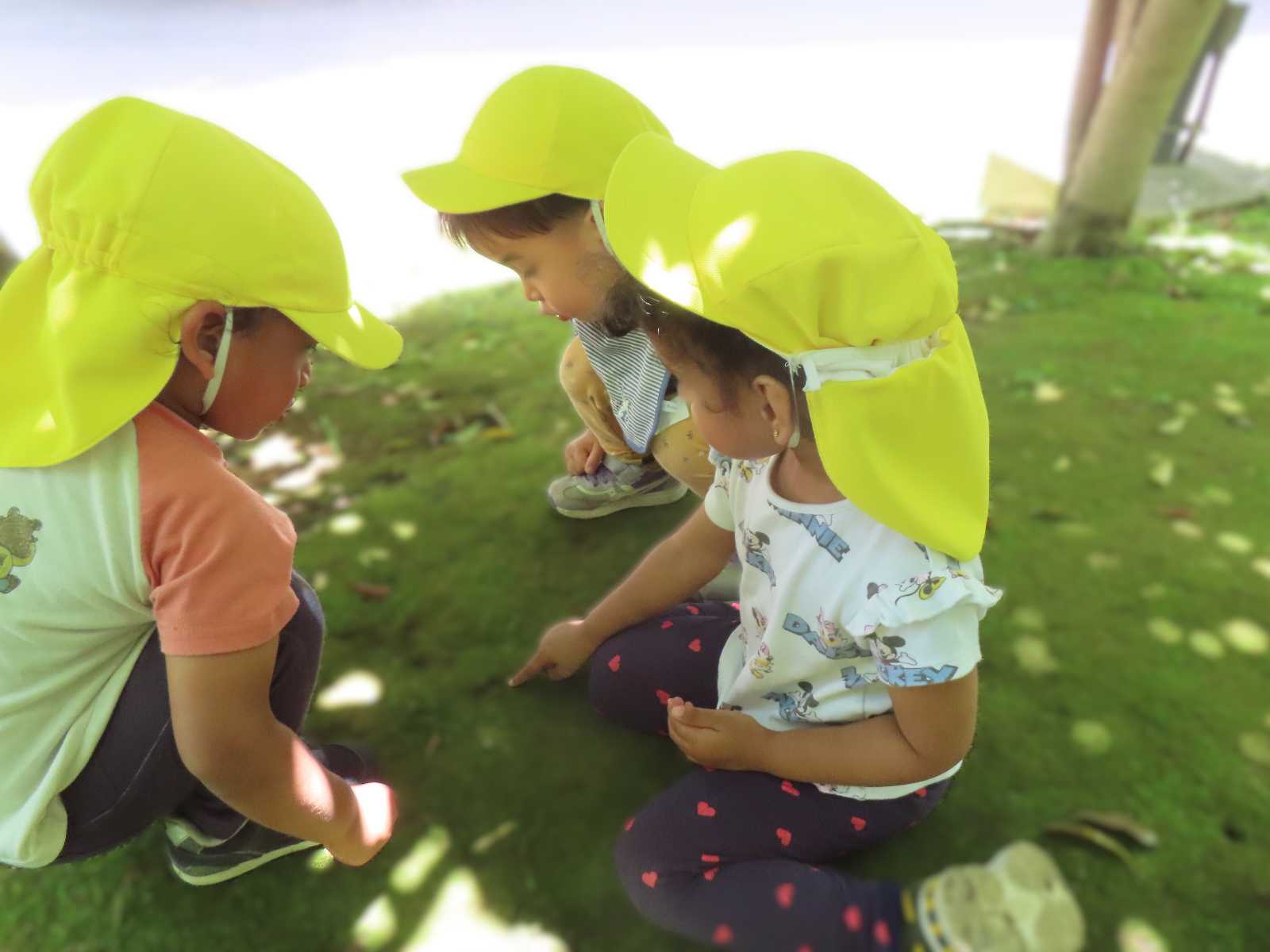 ひよっこ保育室の画像