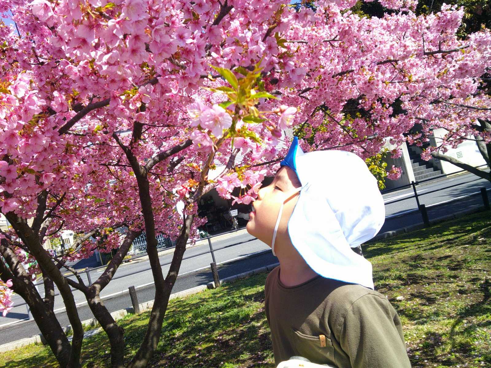 コンビプラザ桃井保育園の画像