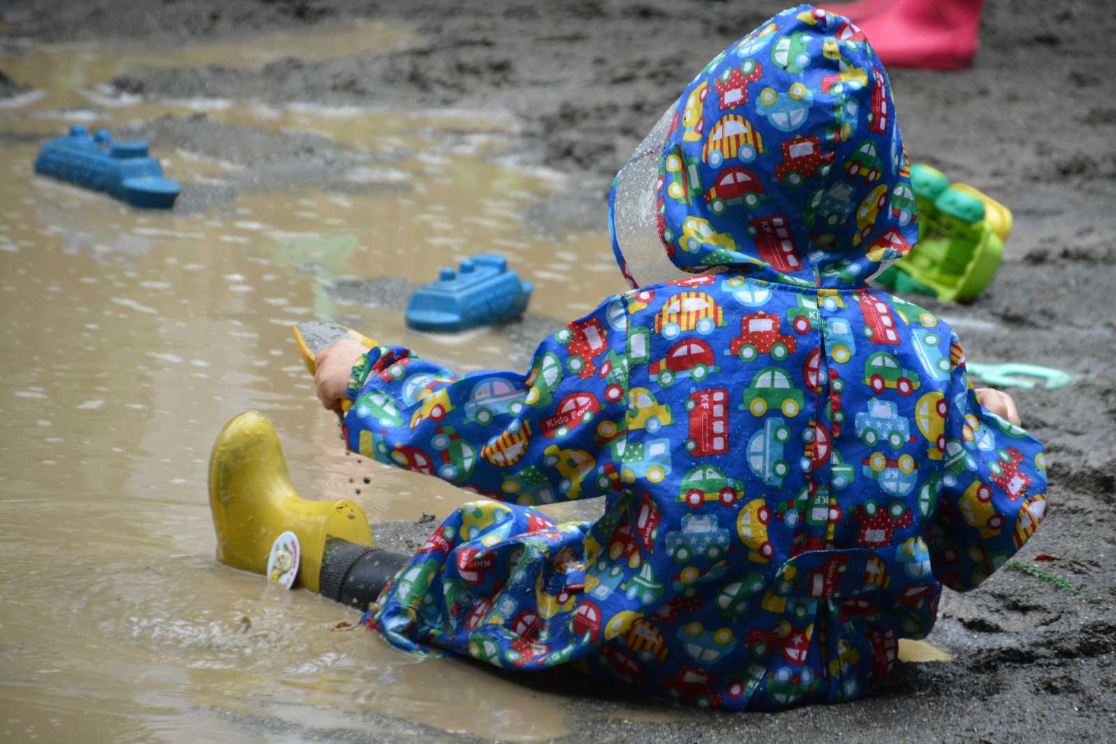 さくらのその保育園の画像