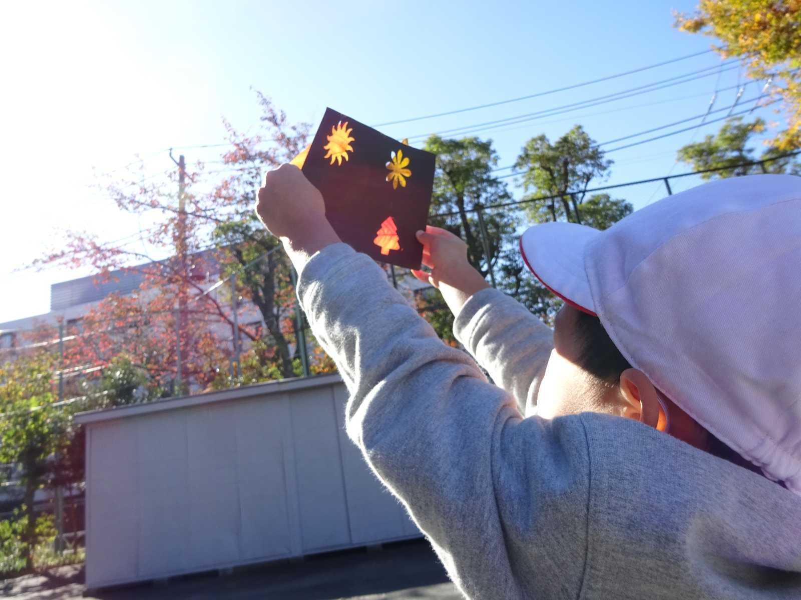 さくらのその保育園の画像