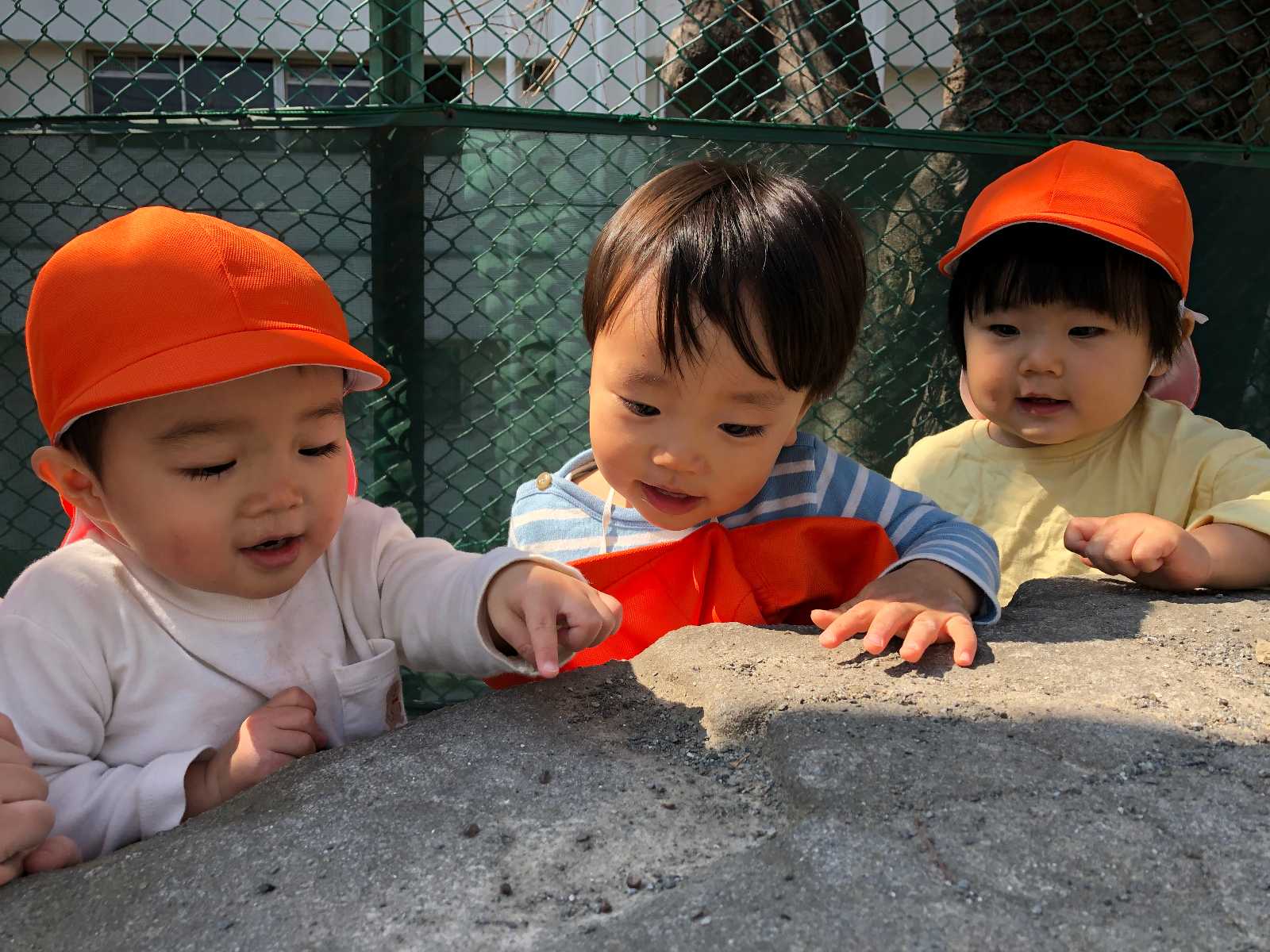 コンビプラザ白金台保育園の画像