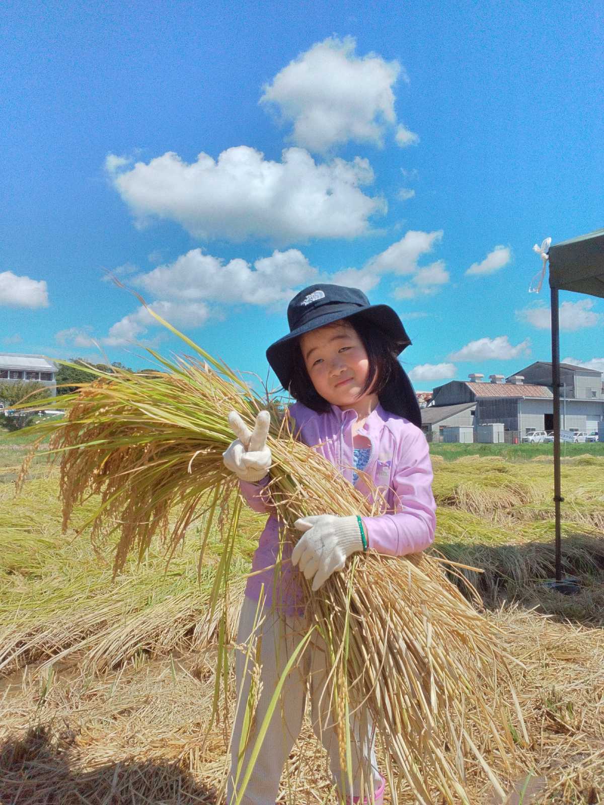 桜のこみち保育園の画像