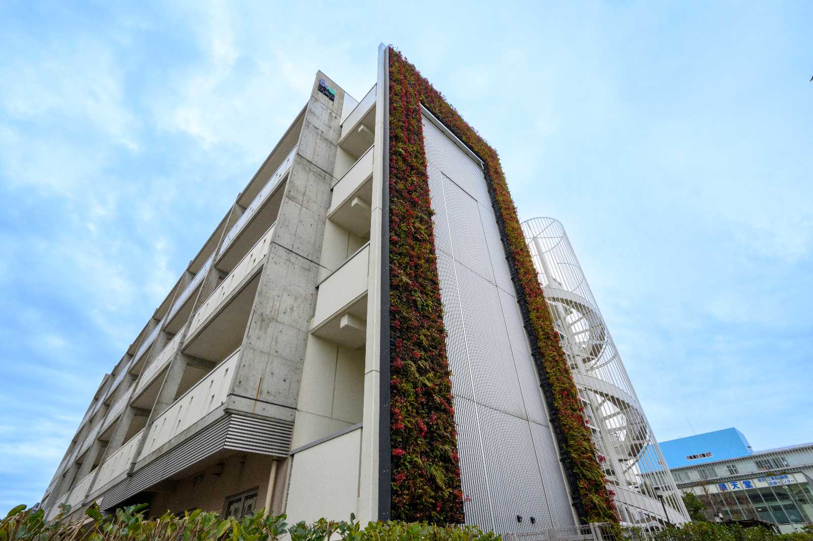 江東区新砂保育園の画像