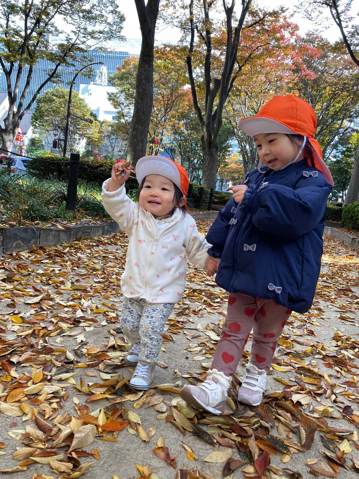 ビックママランド支倉園の画像