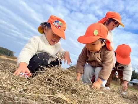 ココカラ上桑島の画像
