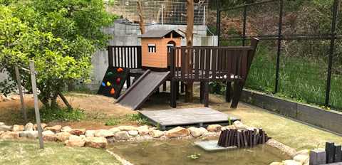 こだま保育園の画像