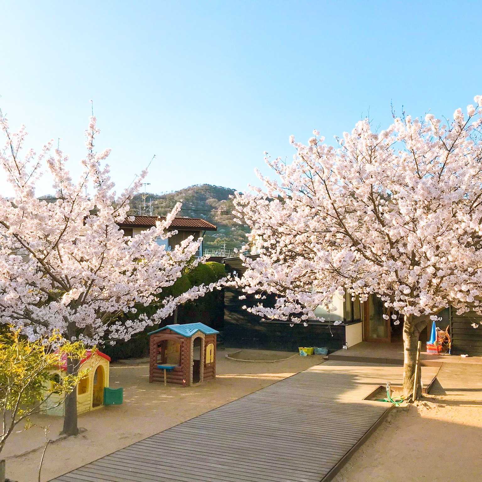 幼保連携型認定こども園桜夢の画像