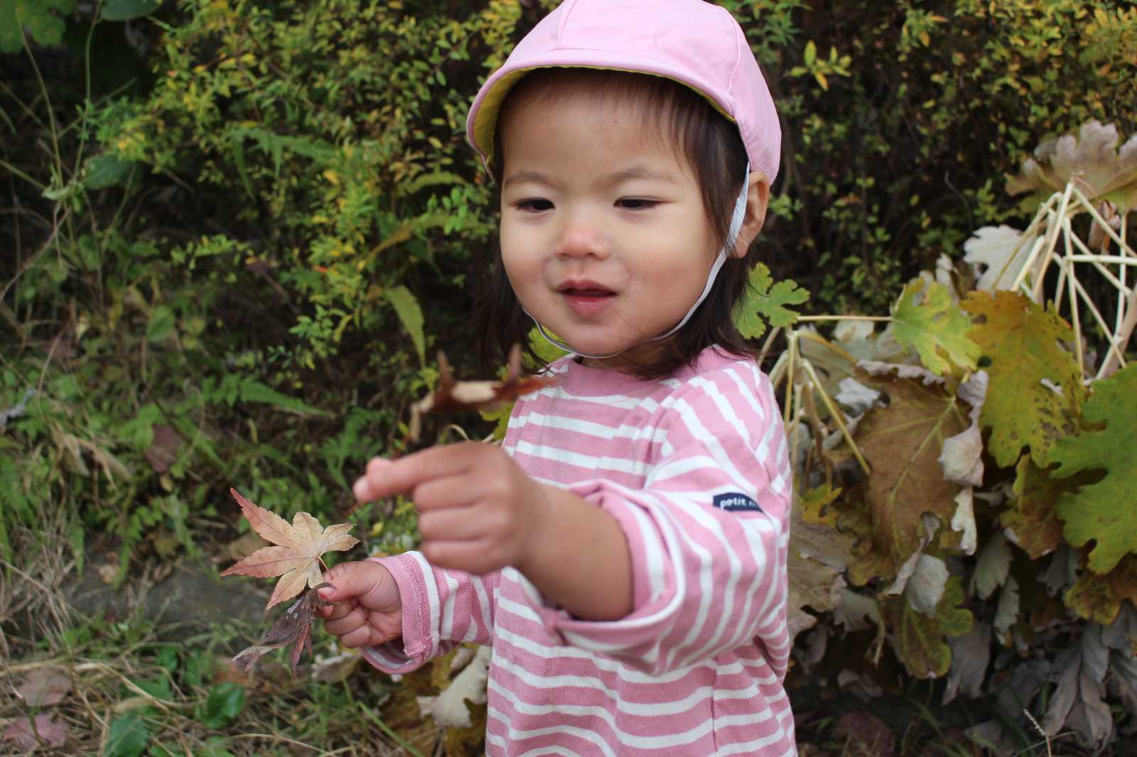 ここわ保育園の画像