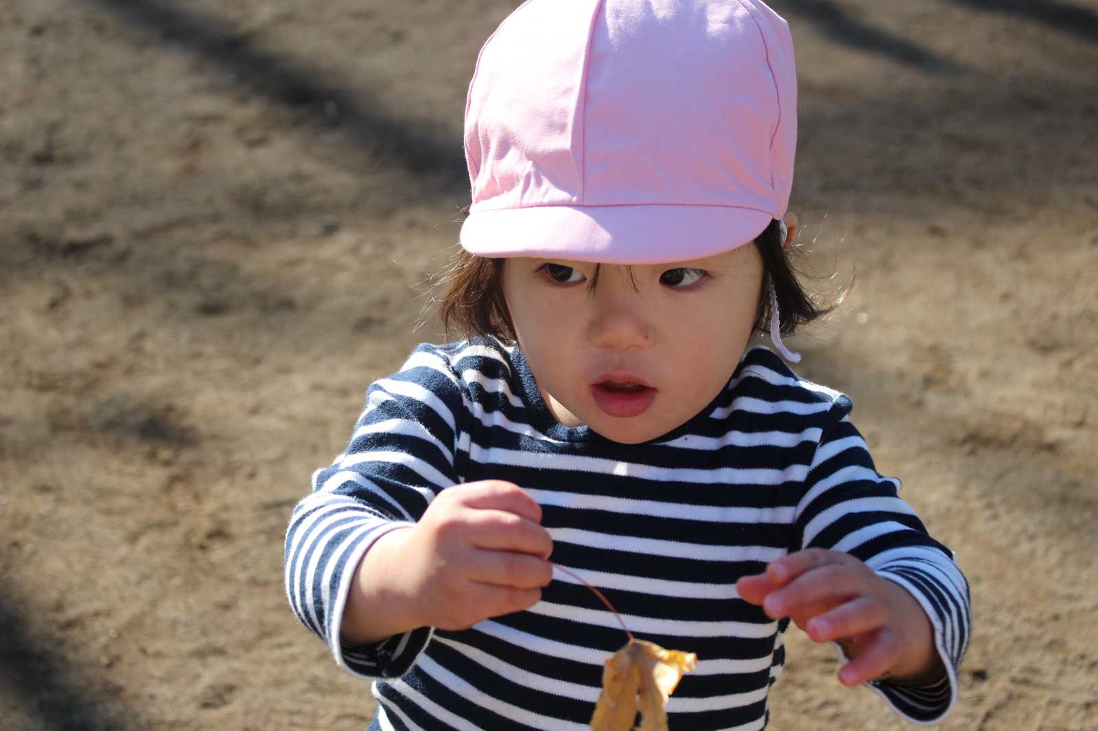 ここわ保育園の画像