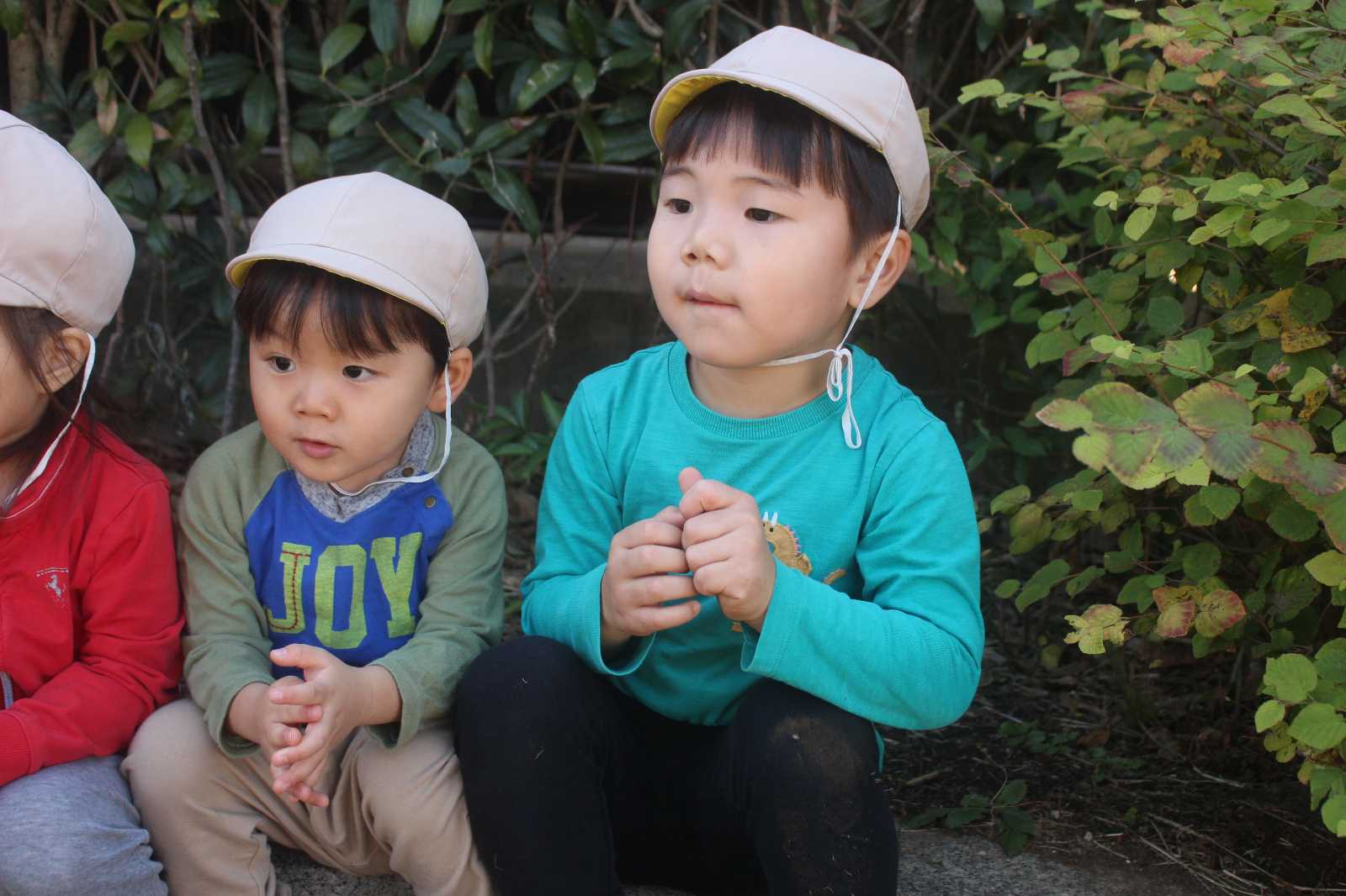 ここわ保育園の画像