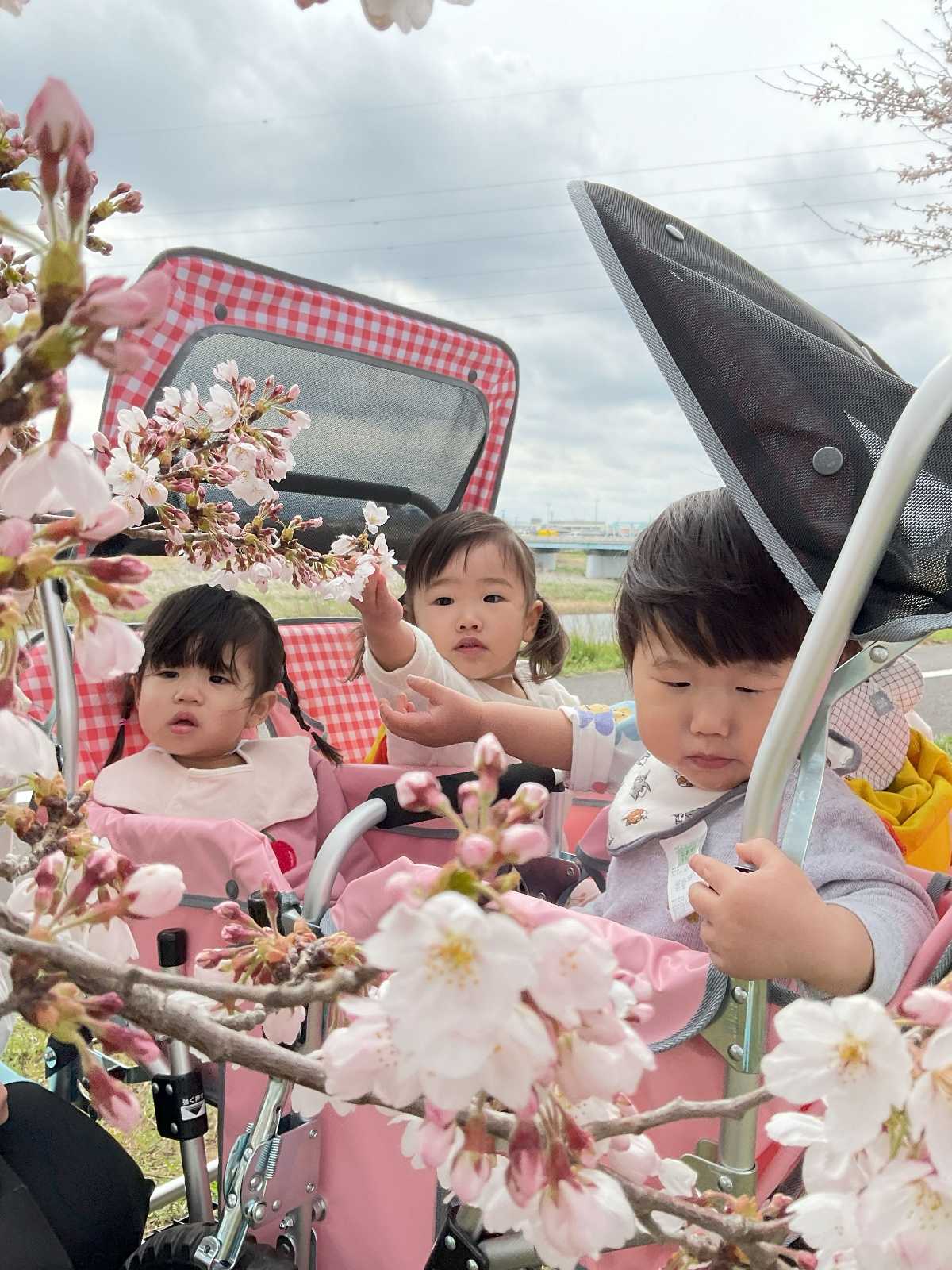 ココカラ安積の画像