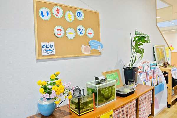 認定こども園本城東幼稚園の画像