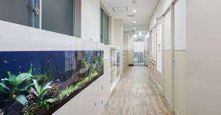 YPCこども園の画像