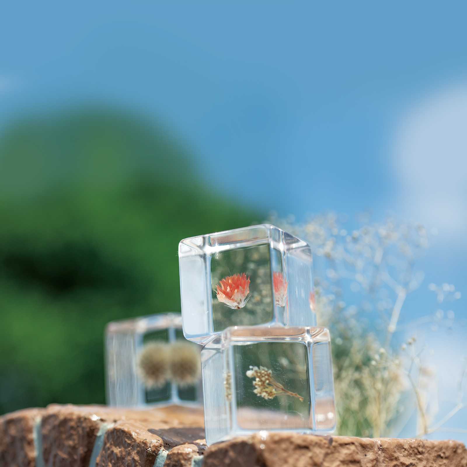 夢花保育園の画像