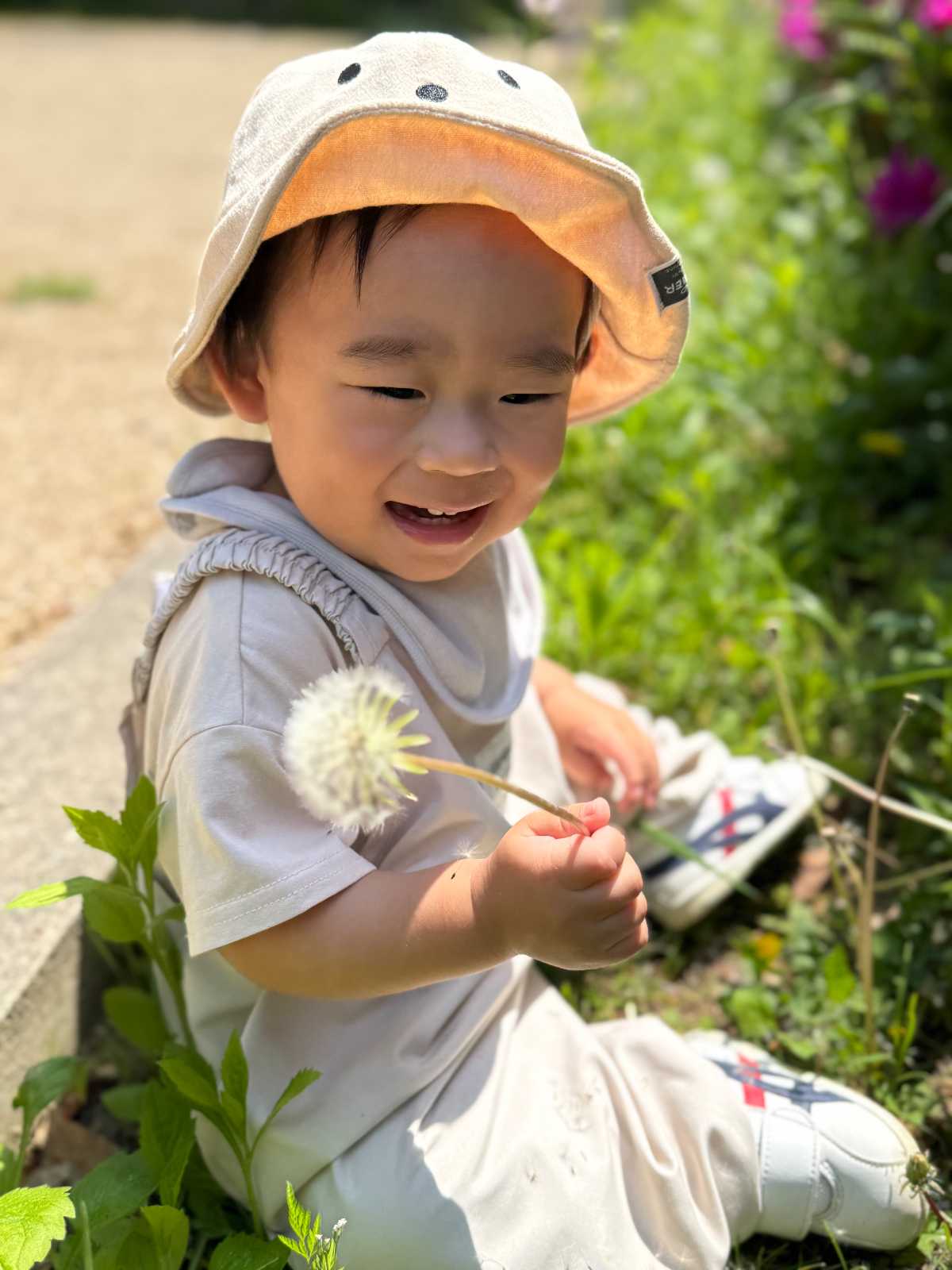 ぽっかぽか保育園の画像