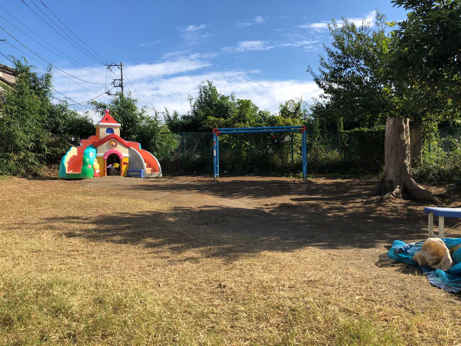 ウィズダムナーサリースクール