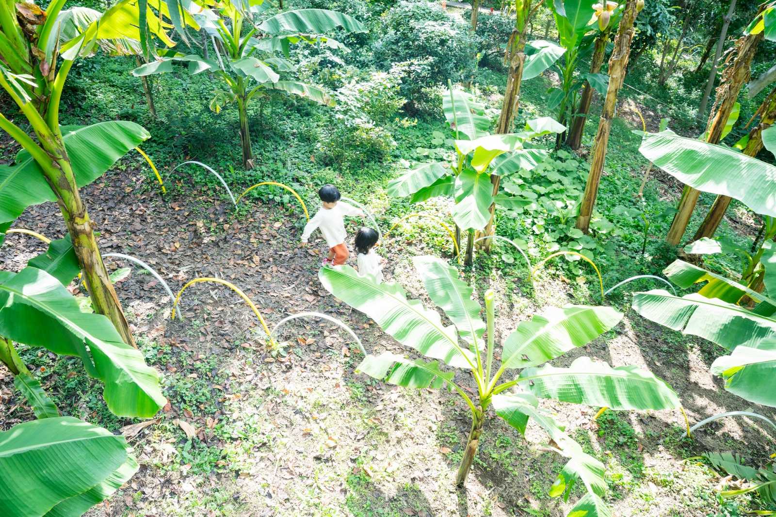 Rita Schoolの画像