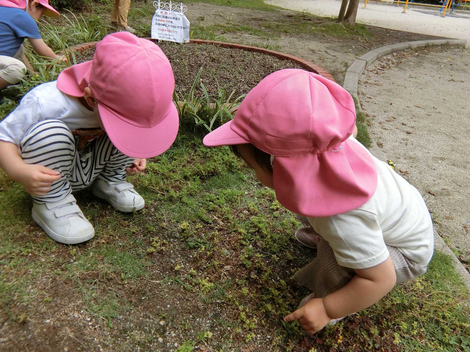 あーす保育園 警固の画像