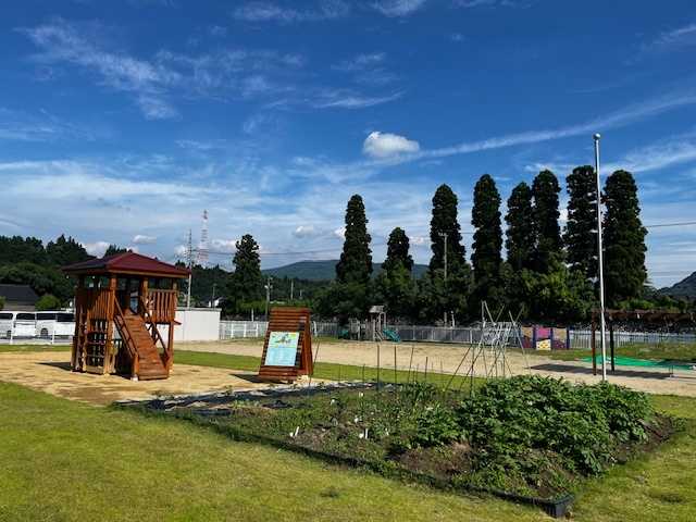 (幼保連携型こども園)クレヨンの画像