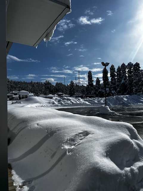 (幼保連携型こども園)クレヨンの画像