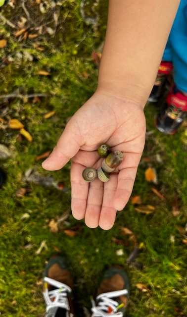 (幼保連携型こども園)クレヨンの画像