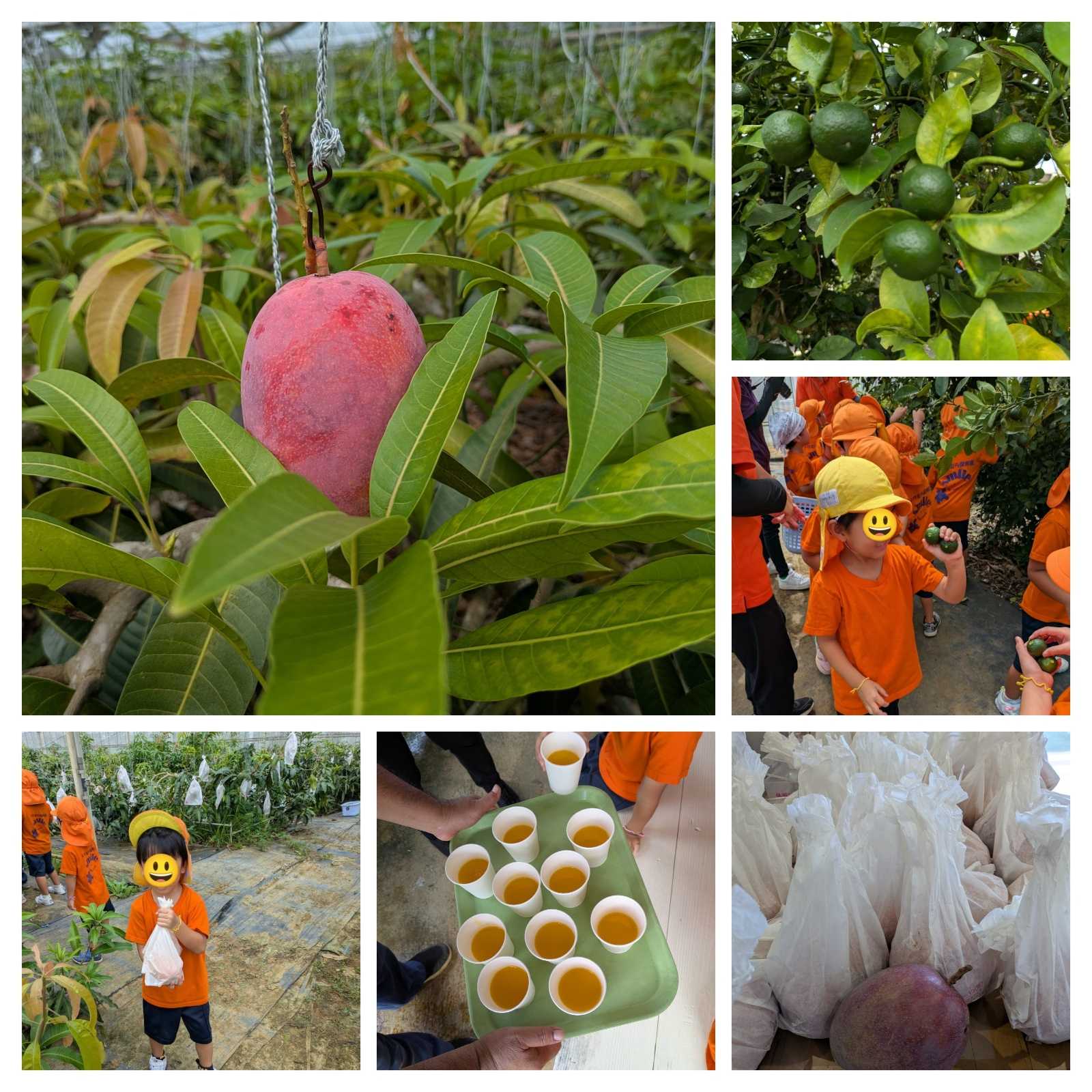 いけむら保育園の画像