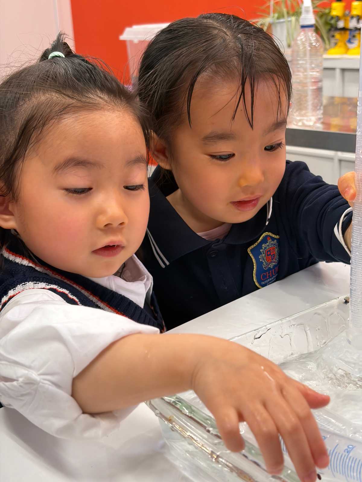 中央インターナショナルスクール | 新浦安キャンパスの画像